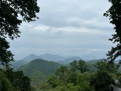 -莫干山风景区