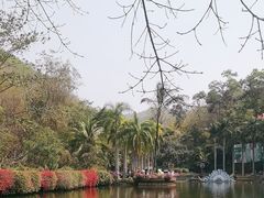 -西双版纳原始森林公园