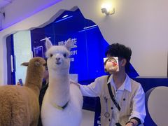 -Blue Concept Cafe&Farm·關於藍