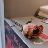 返常浪漫|一朵玫瑰一杯咖啡（限定）