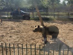 -秦皇岛野生动物园
