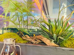 -芸山季·云南野生菌火锅(人民广场来福士店)