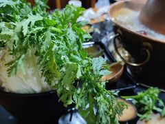 -果松木炭酸菜铜火锅·外婆参鸡汤