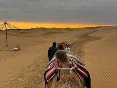 -银肯塔拉沙漠生态旅游景区