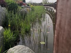 -羊亭河湿地公园