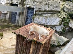 -黔灵山公园-南门售票处