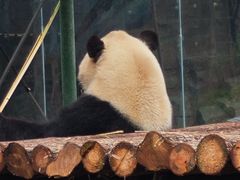 -五龙山野生动物王国