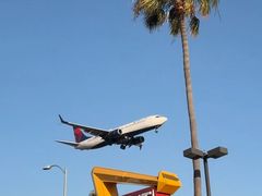 -In-N-Out Burger(LAX)