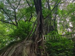 -乌山风景区