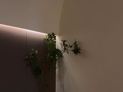 -小仙女采耳·按摩·SPA(深圳旗舰店)
