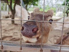 -迪茵湖田家舍生态农场