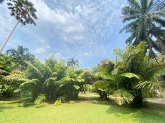 -中国科学院西双版纳热带植物园