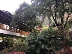 -广悦华阳朔河畔度假酒店(十里画廊遇龙河店)