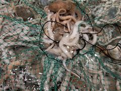 -木柴豆腐·活海鲜·鲁菜(岚山路店)