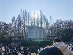-灵谷景区