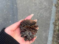 -霖公馆SPA·足道(普善路店)