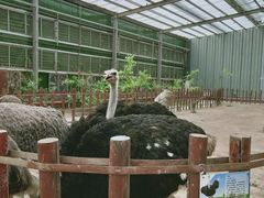 -呀路古热带植物园
