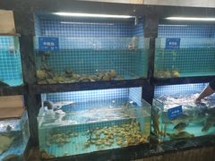 -新天禧大酒店·四十年浙菜·禧宴(西湖店)