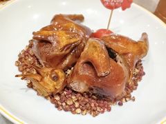 -朱记乳鸽王·非遗石岐乳鸽·全鸽宴(大兴旗舰店)