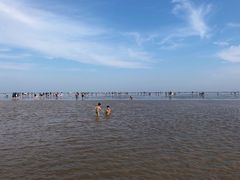 -南汇新城海滩