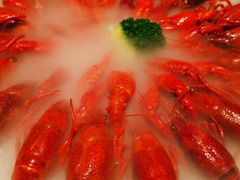 -红盔甲·小龙虾(天钥桥店)