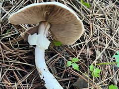 -沈阳辉山风景区