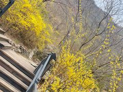-幽岚山·童话森林