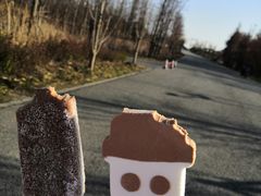 -广富林郊野公园