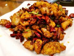 -凤齐羊肉烩面馆