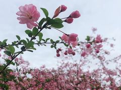 -范蠡湖公园