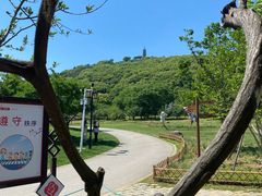 -苏州上方山国家森林公园