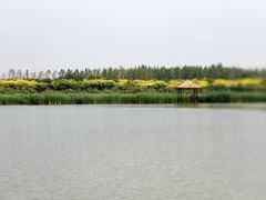 -西青郊野公园