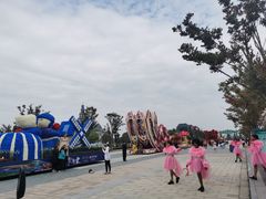 -荷兰花海