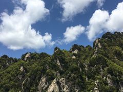 -王顺山国家森林公园