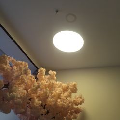 -至臻康妍健康管理中心