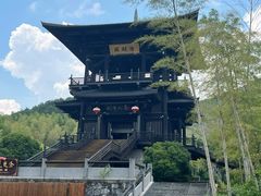 -大唐贡茶院