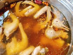 -百利鸽王(紫薇路店)