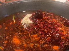 -朱光玉火锅馆(正弘城店)