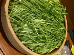 有机豌豆苗-金穗园·砂锅粥.醉鸡煲火锅(长寿路店)