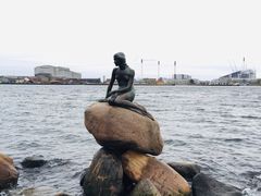 -美人鱼