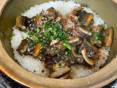 -红星光发煲仔饭(文海店)