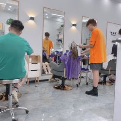 中发-V8潮牌·接发烫染连锁