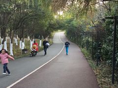 -艾溪湖湿地公园