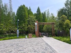 -溱湖国家湿地公园