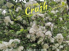 -无锡梅园公园
