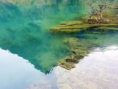 -靖西鹅泉风景区