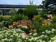 -国家植物园南园