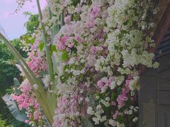 -深圳国际园林花卉博览园