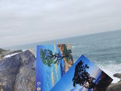 -三亚蜈支洲岛旅游区