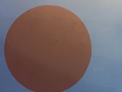 -不可思议减压馆·解压博物馆·摔碗发泄·团建定制